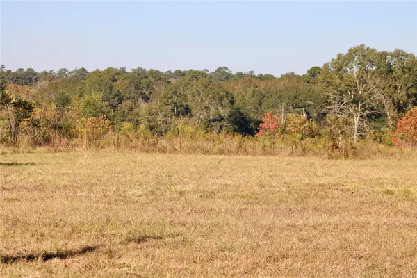 $350,000 | Tbd Winfrey Road, Coldspring, TX 77331