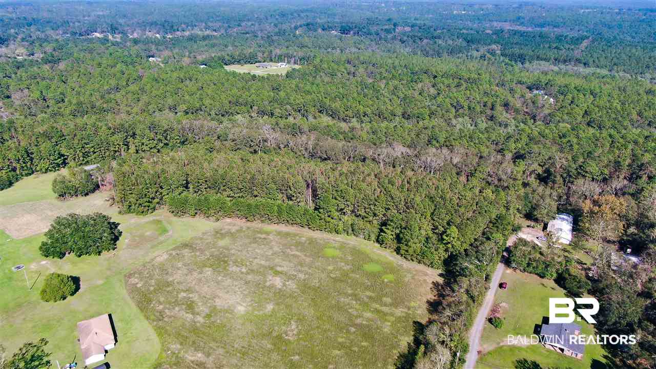10685 John Little Road Bay Minette, AL 36507 - Photo 7 of 16