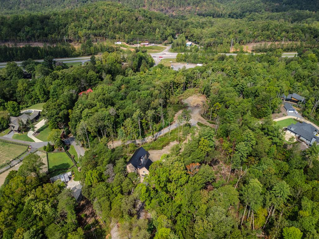 1 Old Northcutt Road Ellijay, GA 30540 - Photo 3 of 7