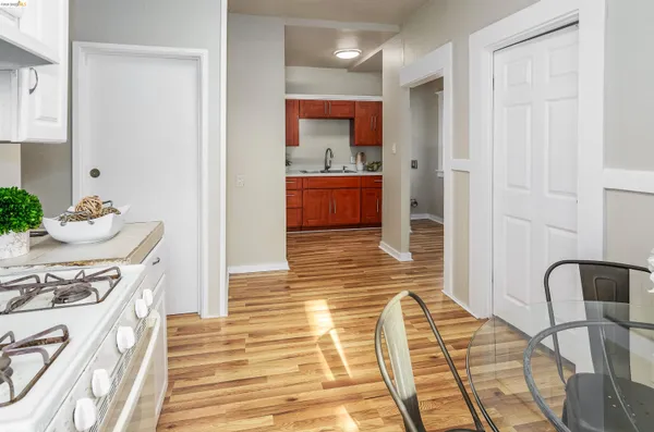 a kitchen with a sink cabinets and a potted plant on the counter