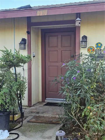 a couple of potted plants in front of door