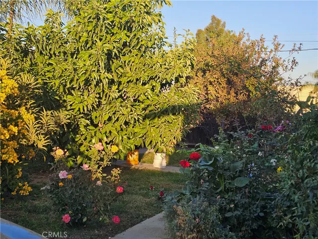 a view of a flower in a garden