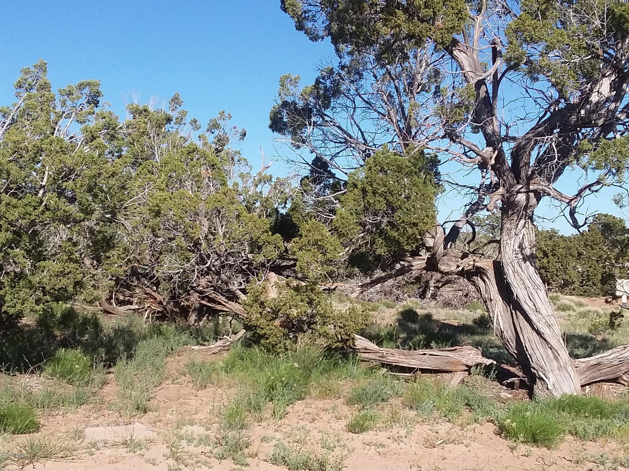 111 N7102 St. Johns, AZ 85936 - Photo 11 of 11