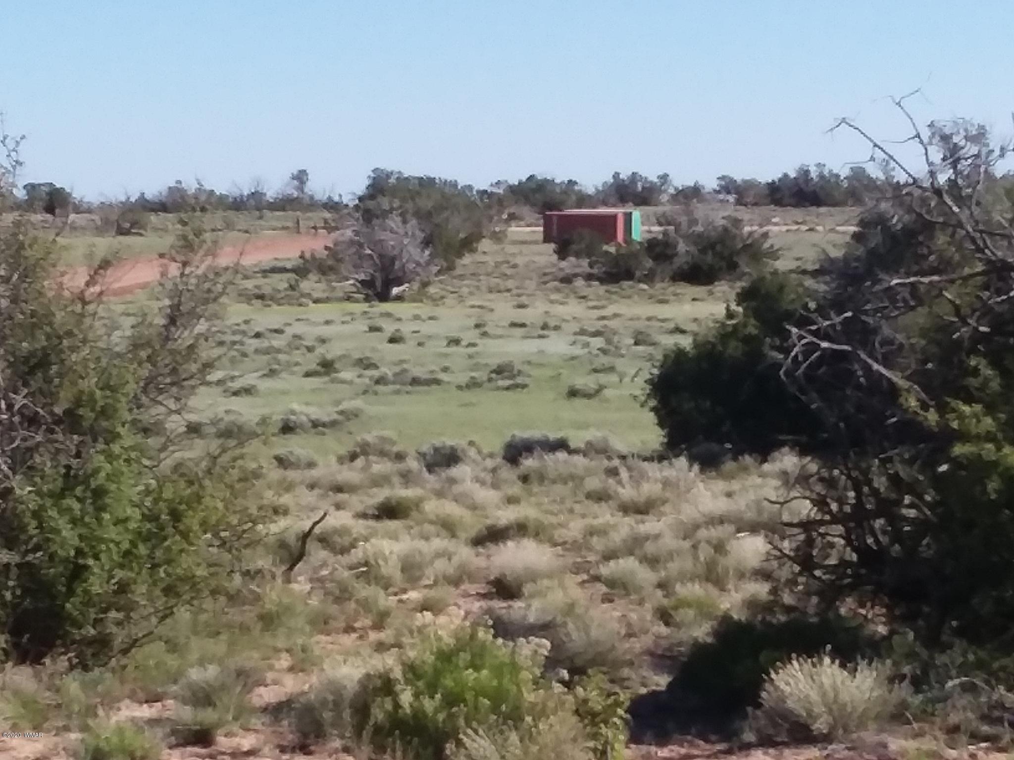 111 N7102 St. Johns, AZ 85936 - Photo 2 of 11