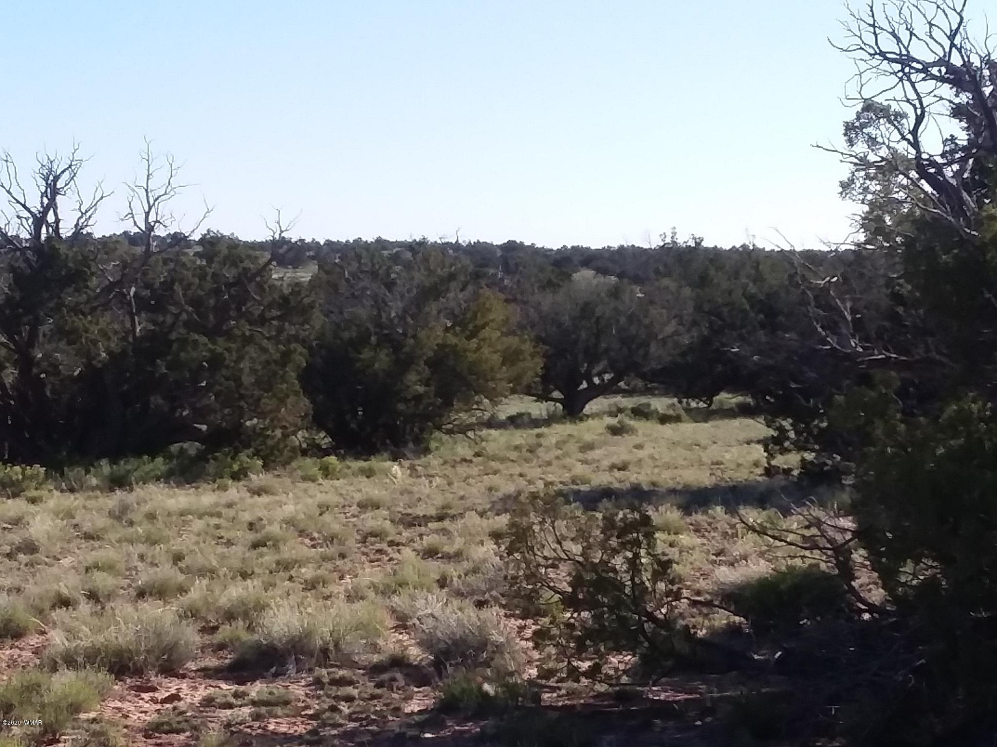 111 N7102 St. Johns, AZ 85936 - Photo 6 of 11
