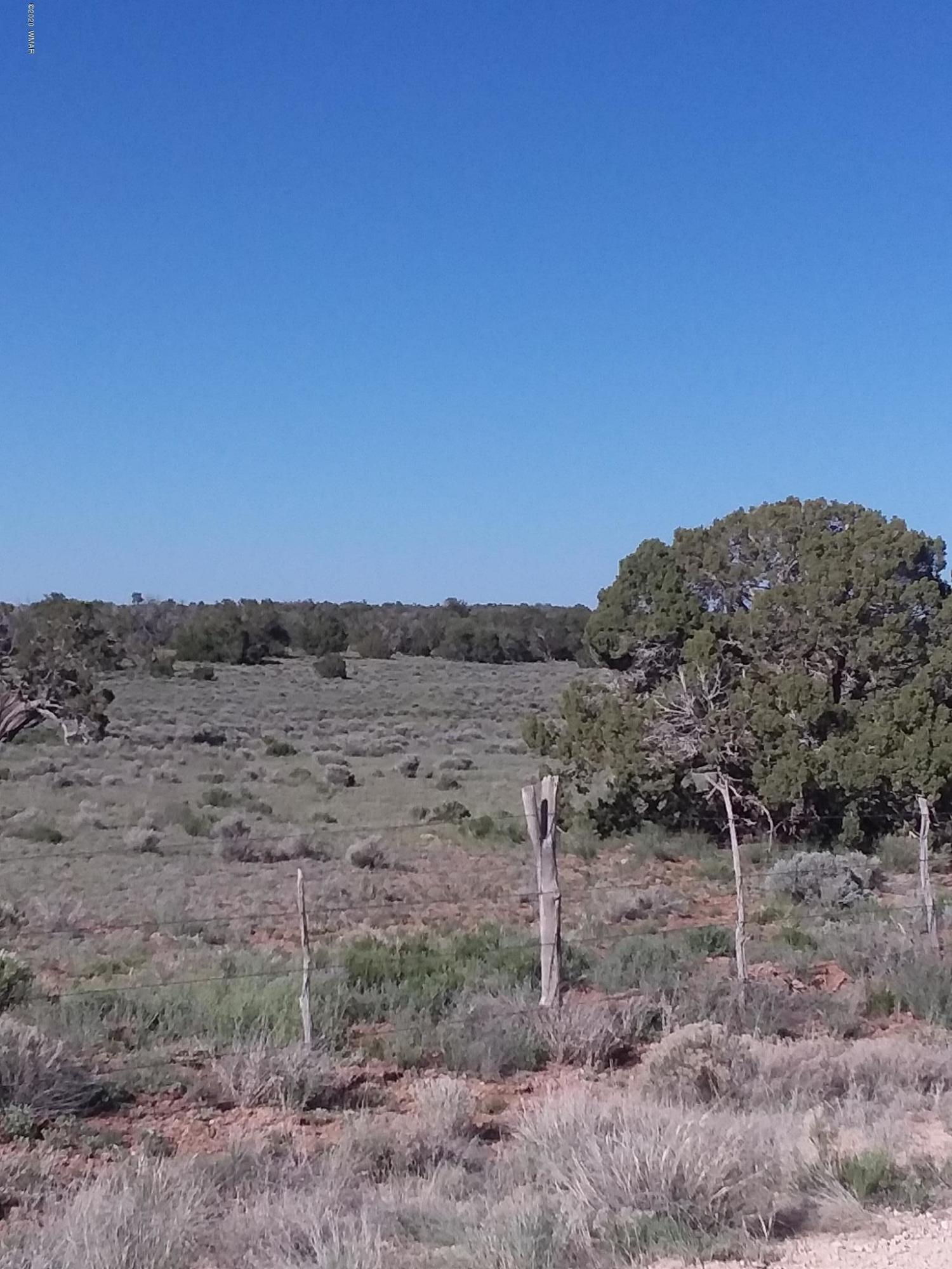 111 N7102 St. Johns, AZ 85936 - Photo 10 of 11