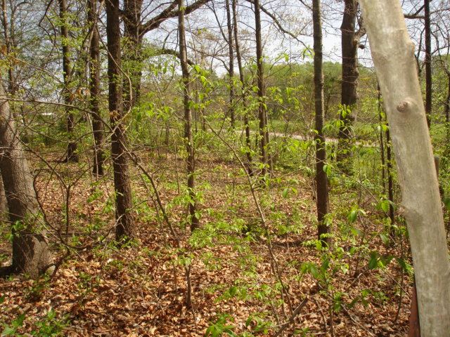 4747 Dye Ford Road Alvaton, KY 42122 - Photo 23 of 31 Gallery Image 23