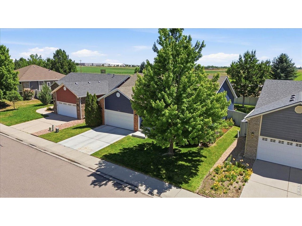 332 Whitney Bay, Unit BAY Windsor, CO 80550 - Photo 8 of 14