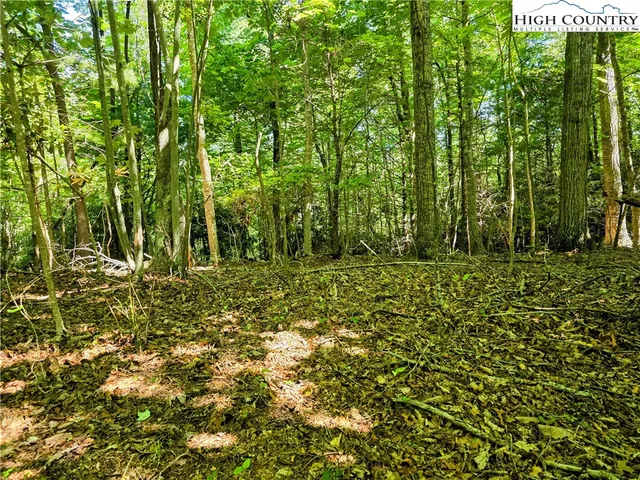 a view of outdoor space