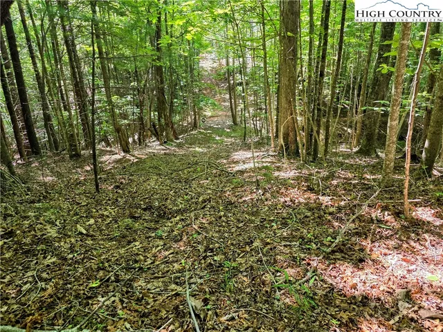 a view of outdoor space with green space