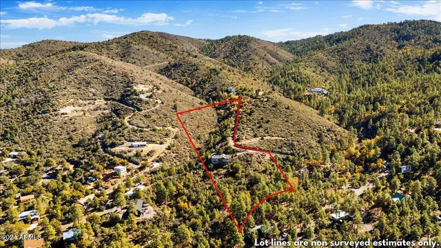 a view of a large tree