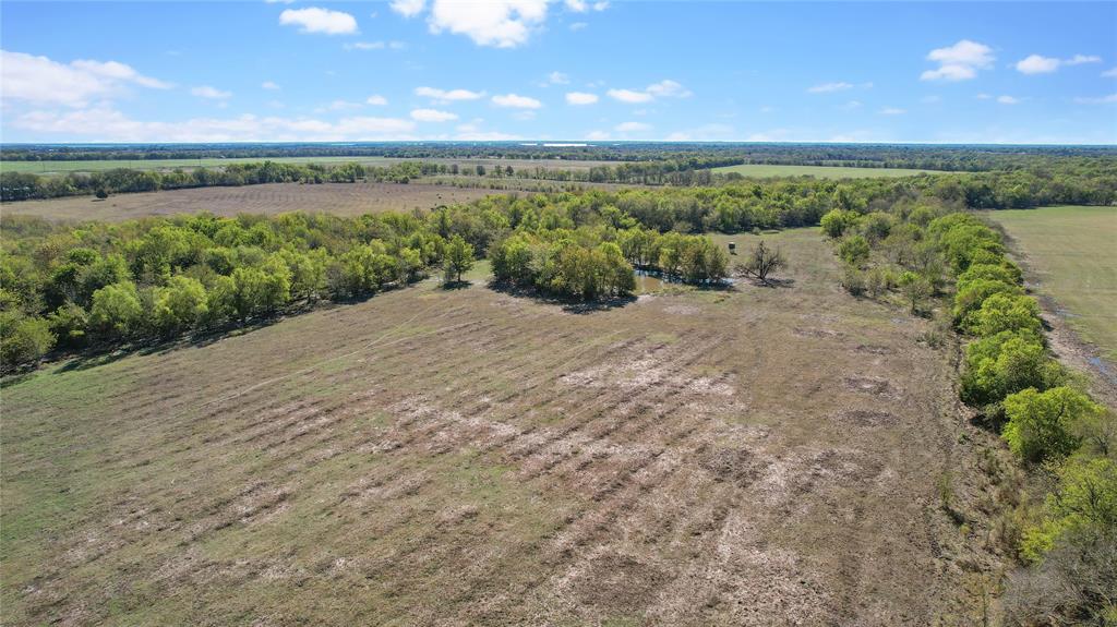0 County Road 2125 Cooper, TX 75432 - Photo 11 of 13
