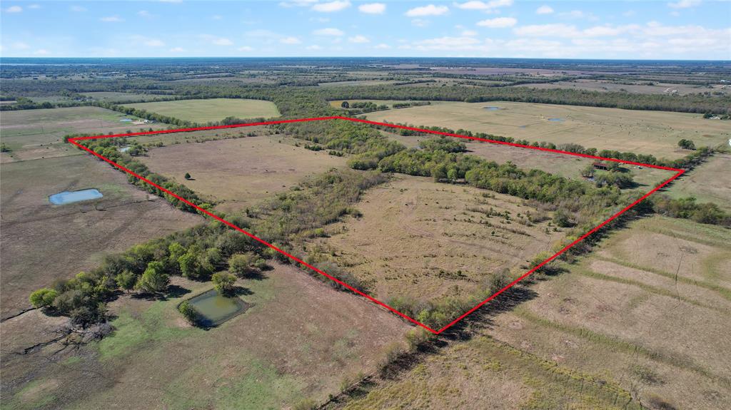 0 County Road 2125 Cooper, TX 75432 - Photo 13 of 13