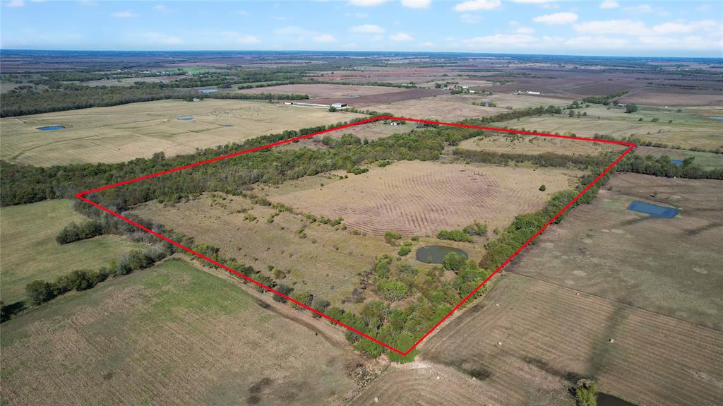 0 County Road 2125 Cooper, TX 75432 - Photo 2 of 13