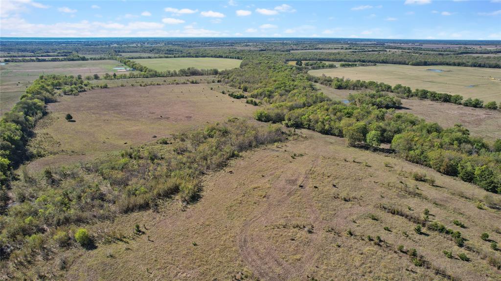 0 County Road 2125 Cooper, TX 75432 - Photo 6 of 13