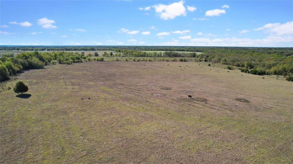 0 County Road 2125 Cooper, TX 75432 - Photo 7 of 13