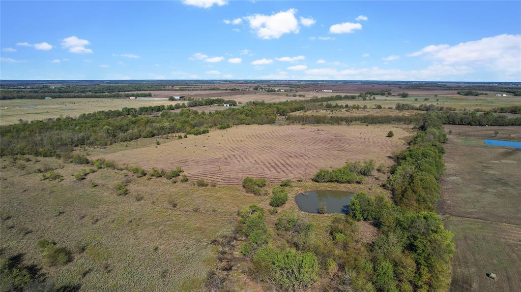 0 County Road 2125 Cooper, TX 75432 - Photo 8 of 13