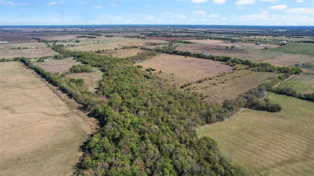 0 County Road 2125 Cooper, TX 75432 - Photo 9 of 13