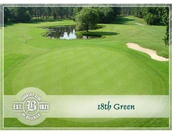 53 Baldwin Road, Unit 1402 Billerica, MA 01821 - Photo 25 of 30 a view of garden