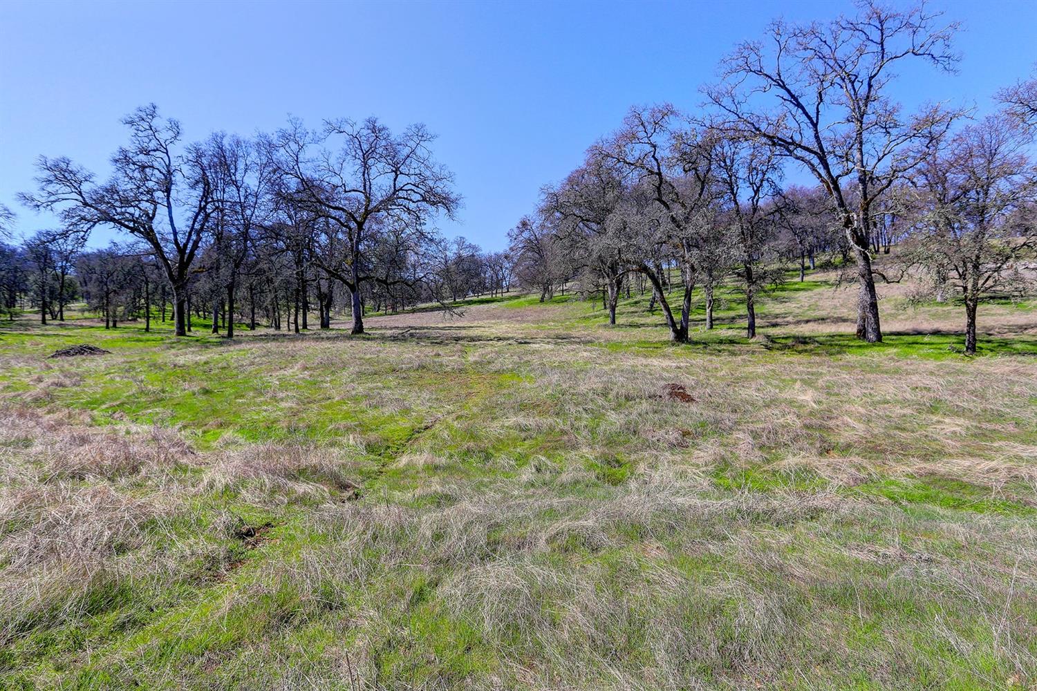 22498 Retherford Road Auburn, CA 95602 - Photo 11 of 19