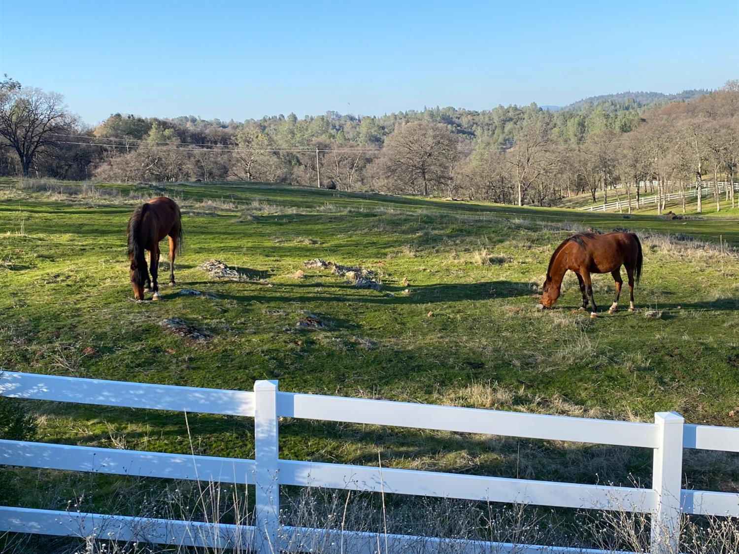 22498 Retherford Road Auburn, CA 95602 - Photo 13 of 19