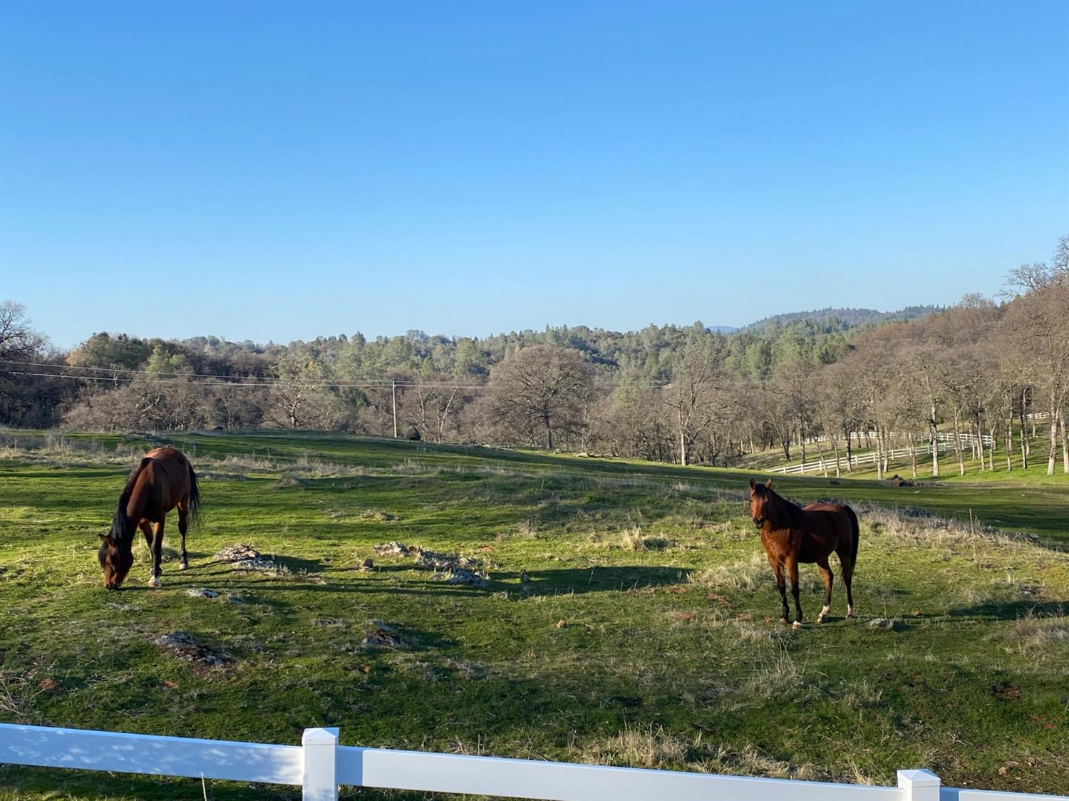 22498 Retherford Road Auburn, CA 95602 - Photo 2 of 19