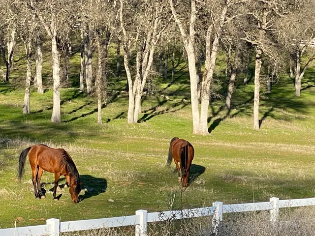 $439,000 | 22498 Retherford Road, Auburn, CA 95602