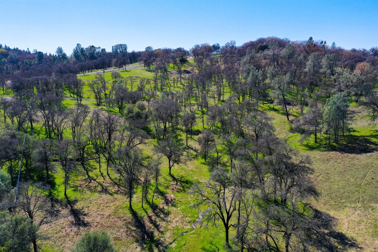 22498 Retherford Road Auburn, CA 95602 - Photo 9 of 19