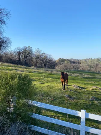 $439,000 | 22498 Retherford Road, Auburn, CA 95602