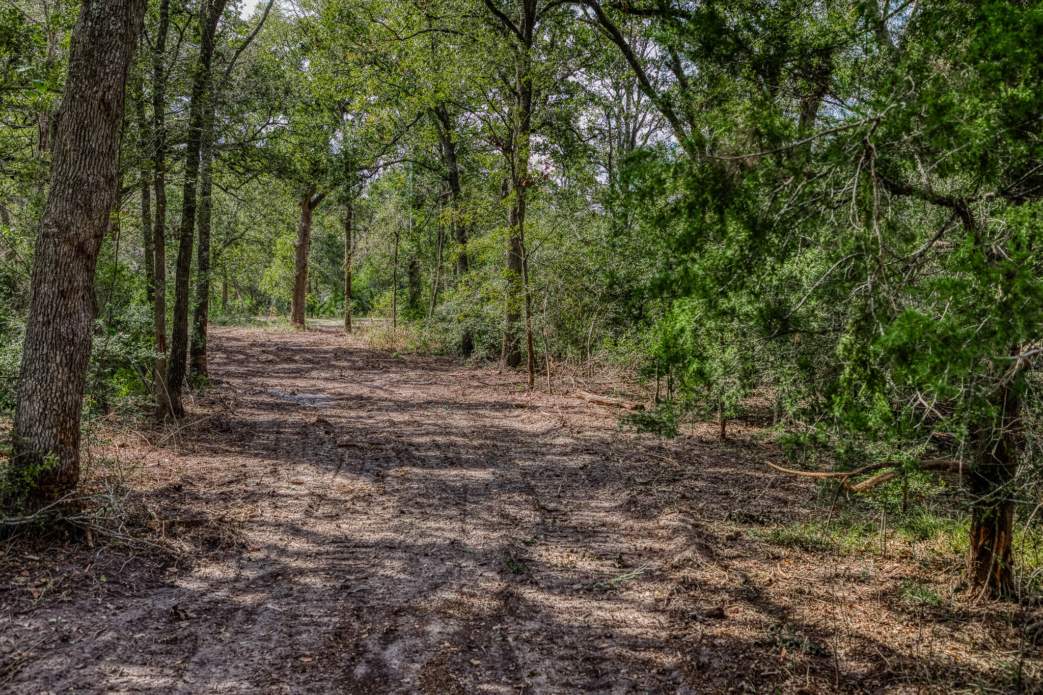 2 Sun Oil Road Brenham, TX 77833 - Photo 4 of 35