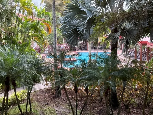 a view of a palm trees