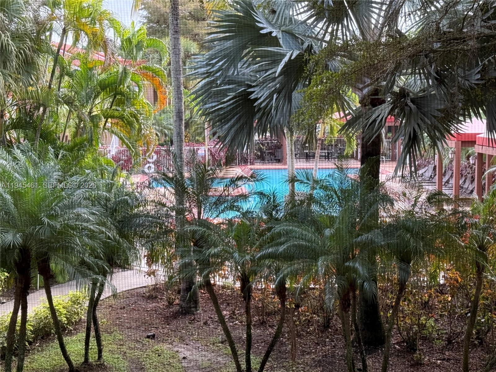 10441 Southwest 156th Court, Unit 429 Miami, FL 33196 - Photo 14 of 17 a view of a palm trees