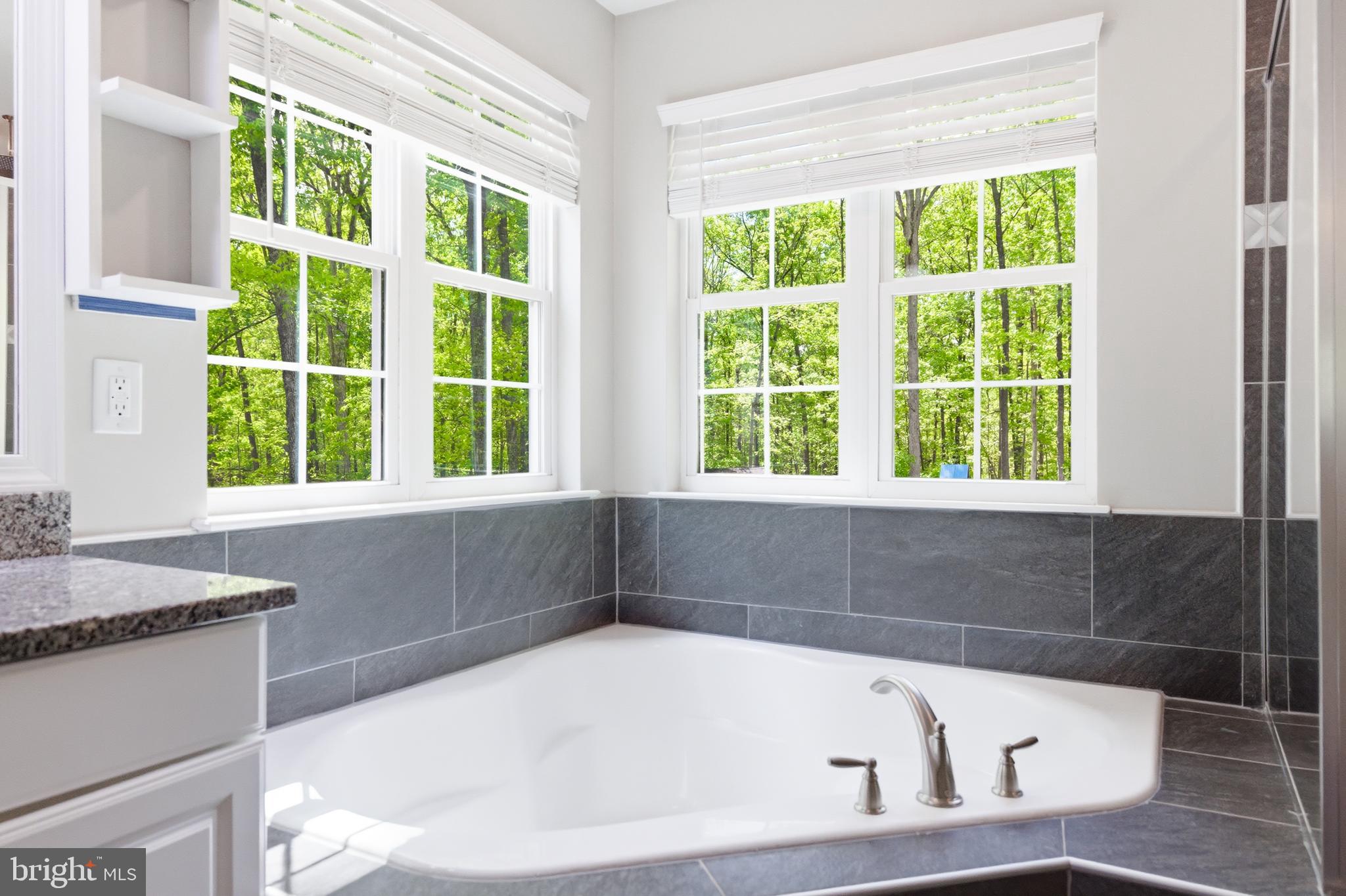 6324 Vint Hill Road Warrenton, VA 20187 - Photo 50 of 103 a bath tub sitting in a bathroom next to a window