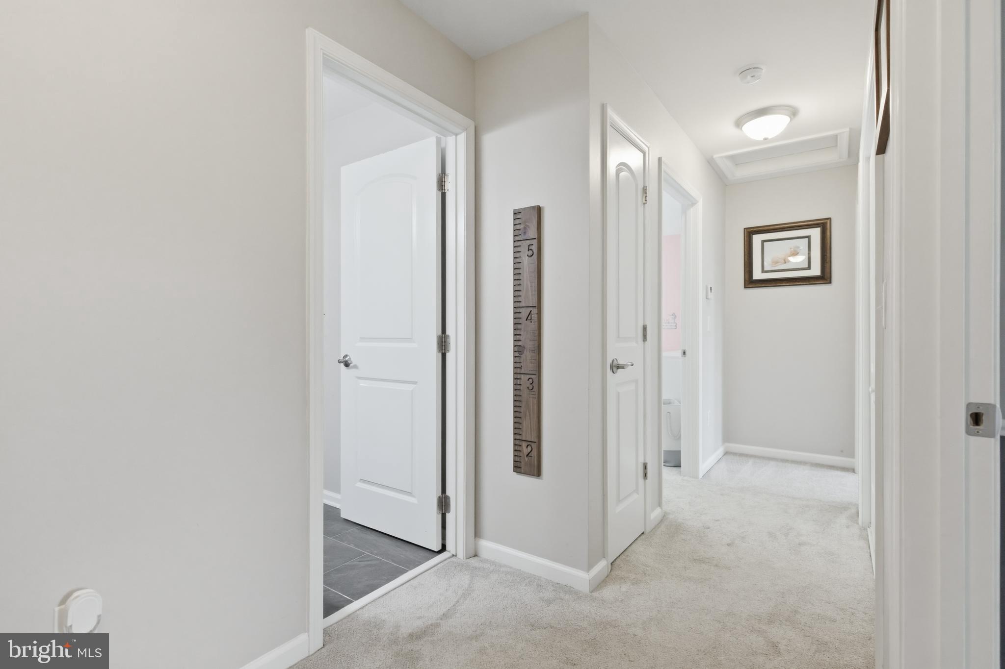 6324 Vint Hill Road Warrenton, VA 20187 - Photo 60 of 103 a view of a hallway with closet area