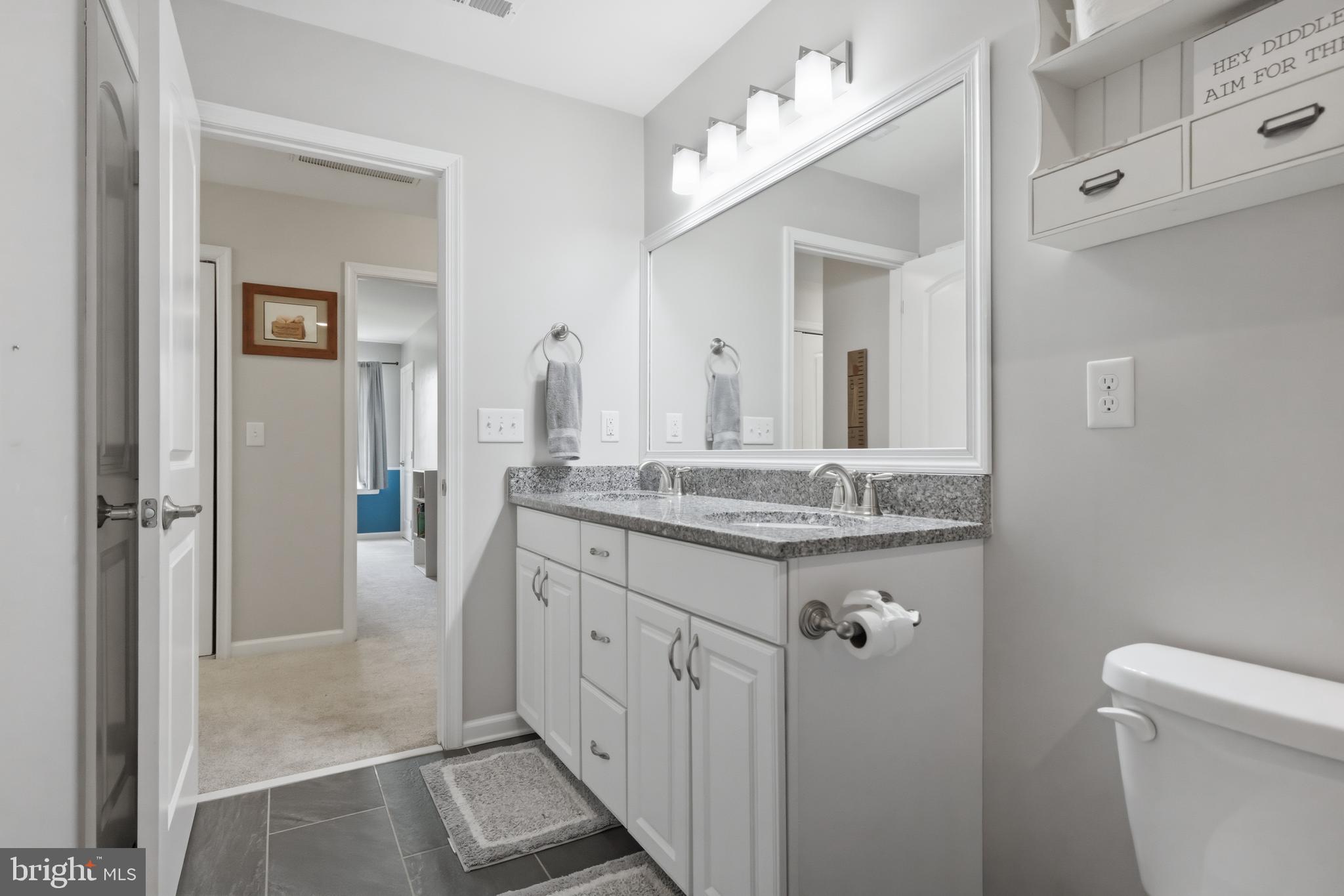 6324 Vint Hill Road Warrenton, VA 20187 - Photo 62 of 103 a bathroom with a granite countertop sink a mirror and a toilet