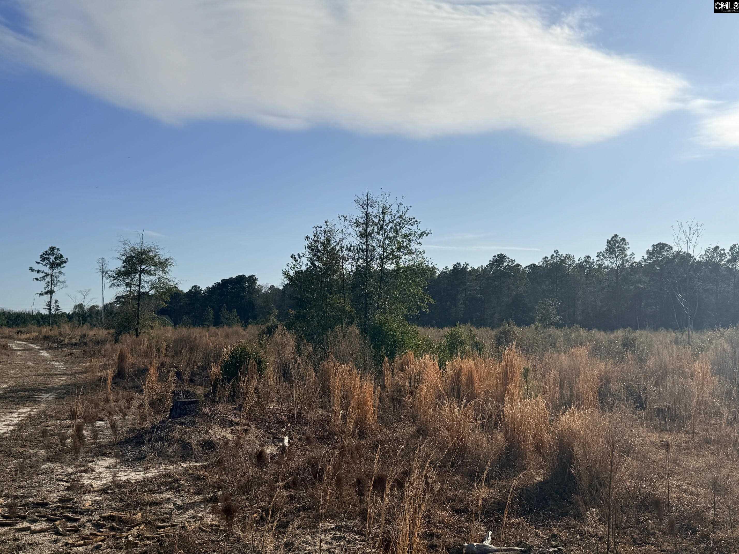 0 Festival Trail Road Salley, SC 29137 - Photo 4 of 8