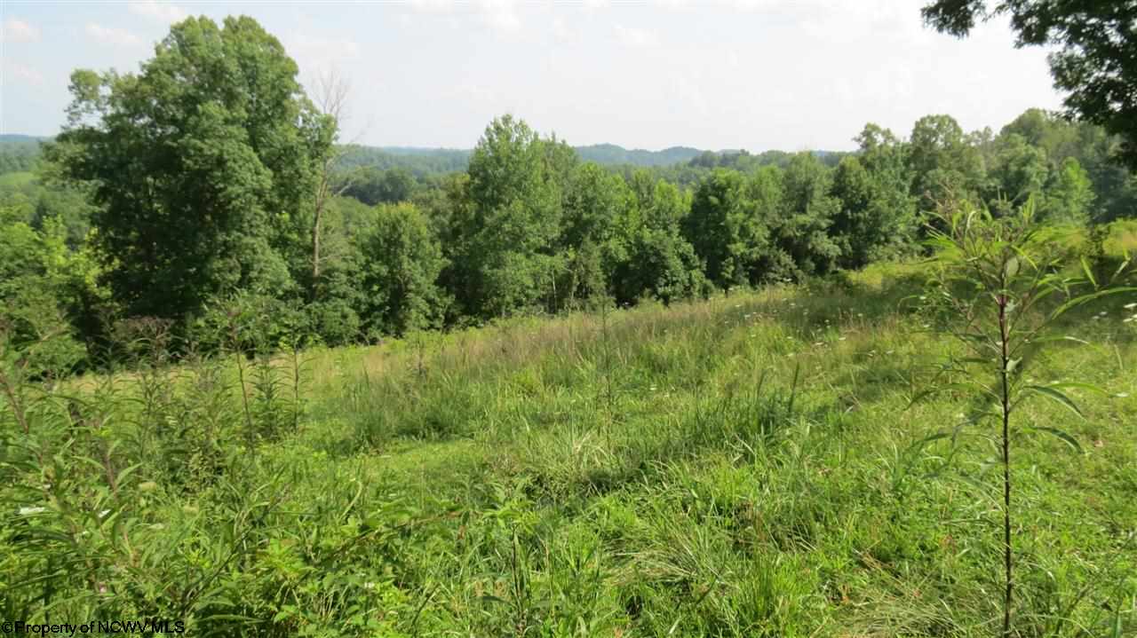 123 Paxton Road Elkview, WV 25071 - Photo 1 of 1 Gallery Image 1