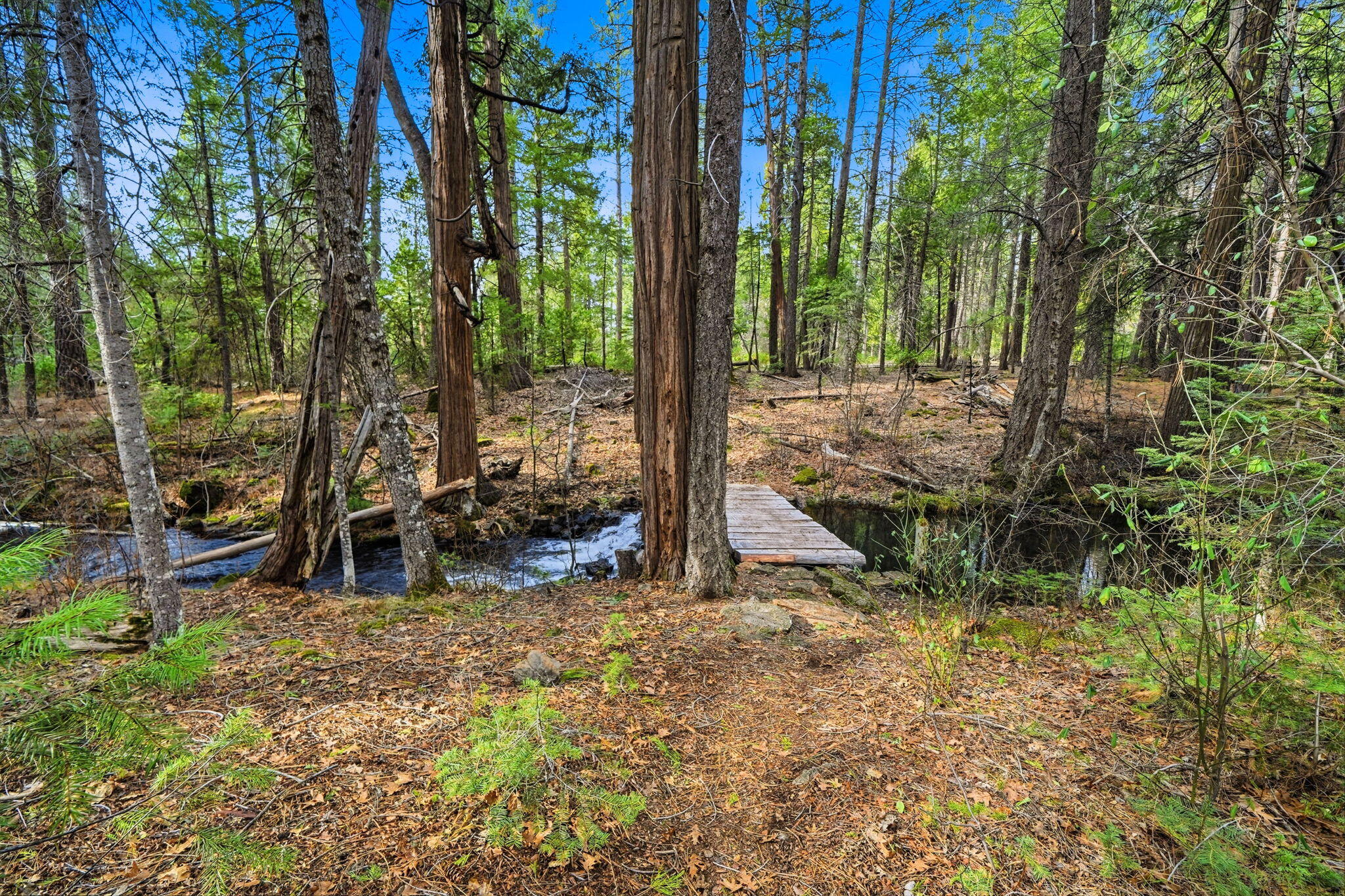7758 Hidden Meadows Road Shingletown, CA 96088 - Photo 45 of 63 51-web-or-mls-IMG-51