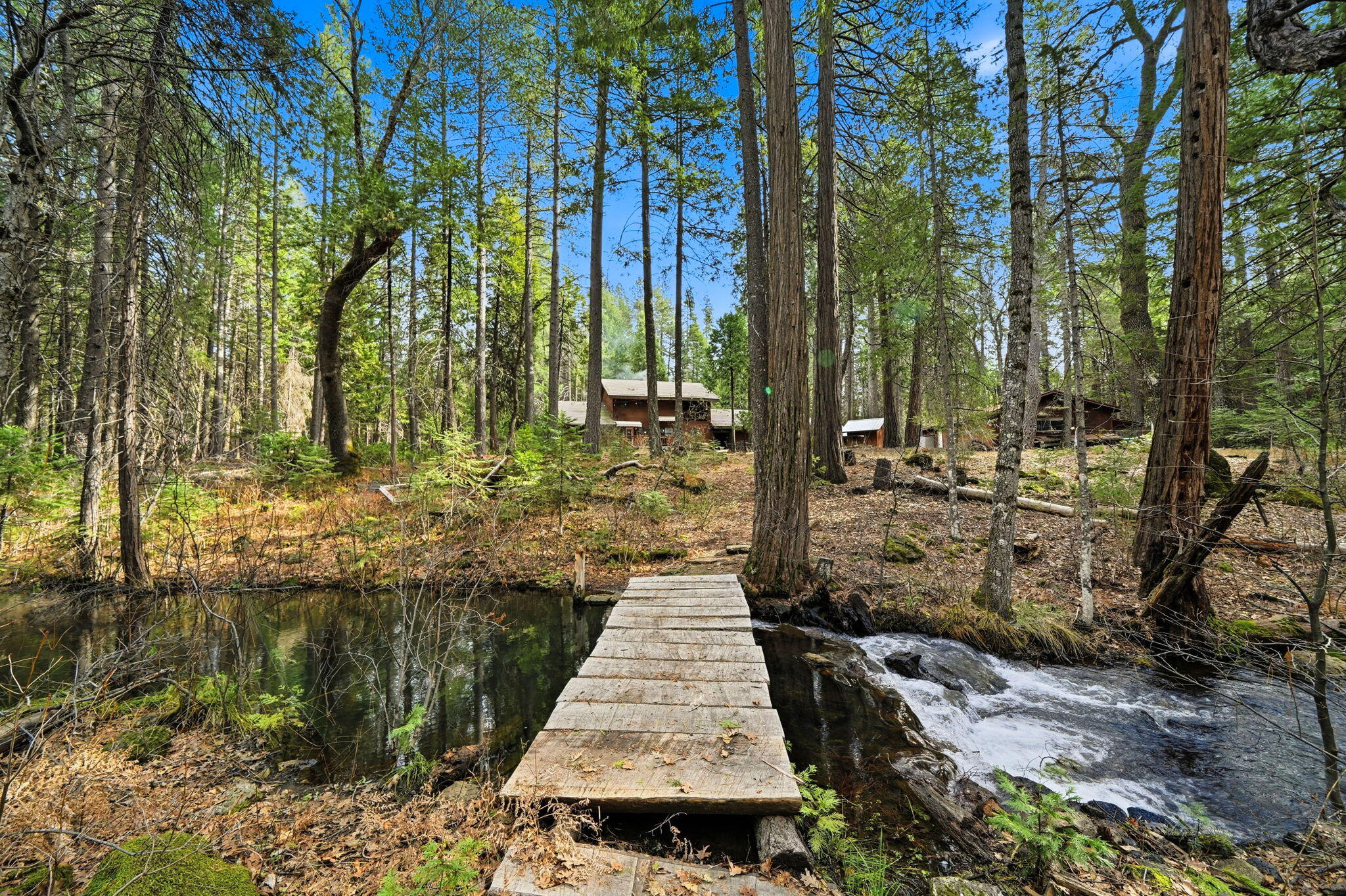 7758 Hidden Meadows Road Shingletown, CA 96088 - Photo 46 of 63 52-web-or-mls-IMG-52