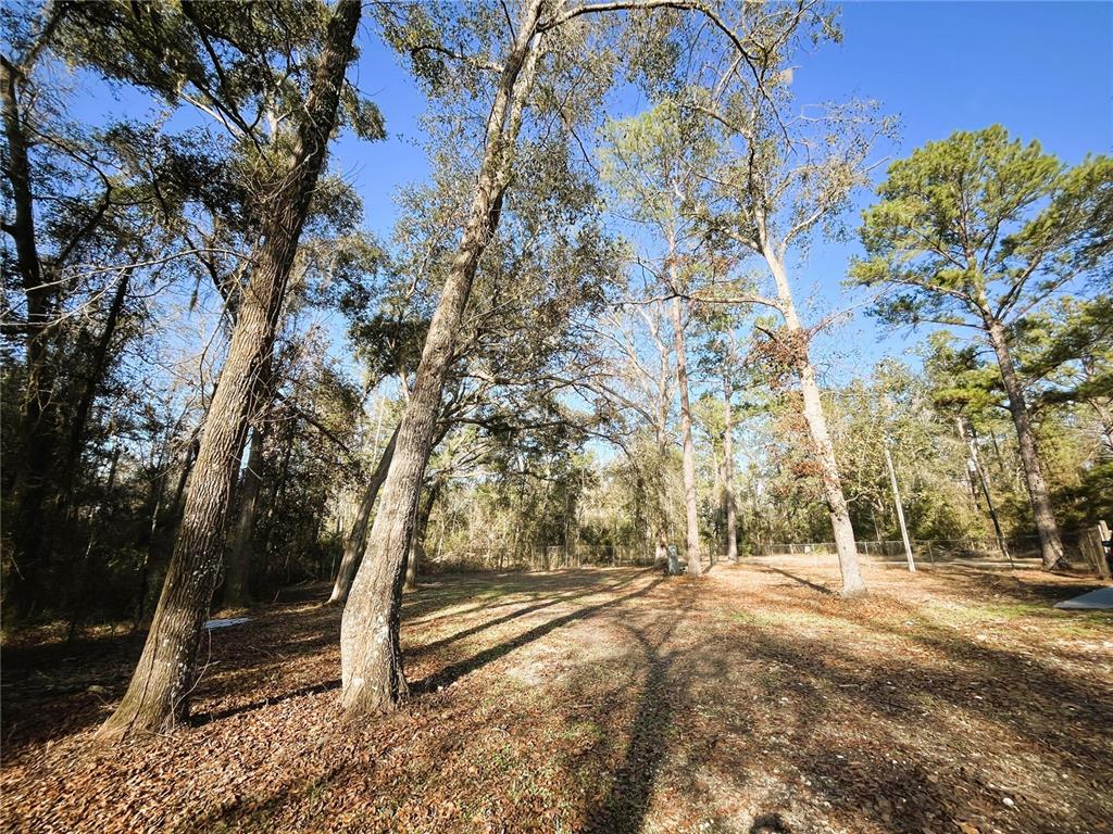 7750 156th Terrace Live Oak, FL 32060 - Photo 35 of 41 a view of outdoor space with trees