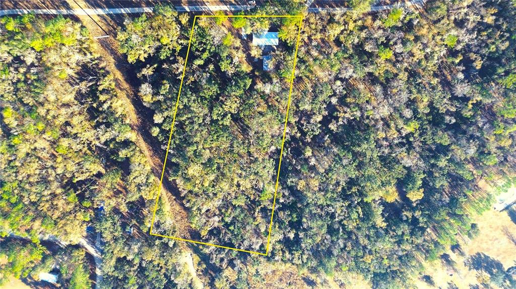 7750 156th Terrace Live Oak, FL 32060 - Photo 38 of 41