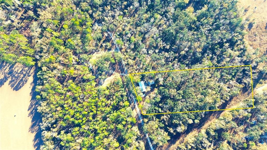 7750 156th Terrace Live Oak, FL 32060 - Photo 40 of 41 a view of a tree