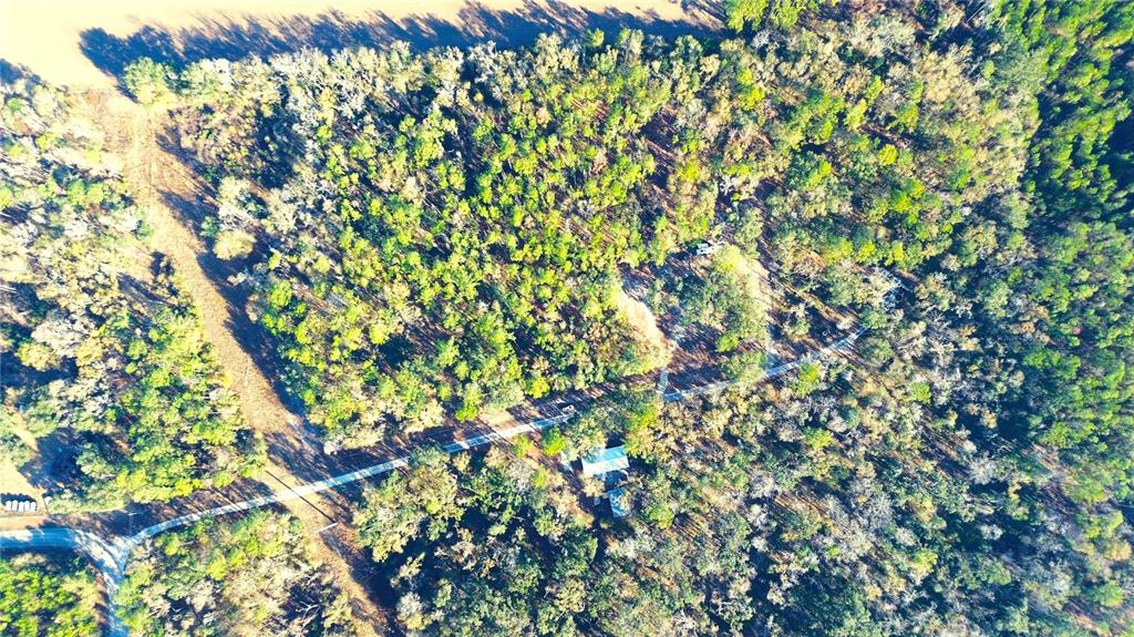 7750 156th Terrace Live Oak, FL 32060 - Photo 41 of 41 a view of a tree