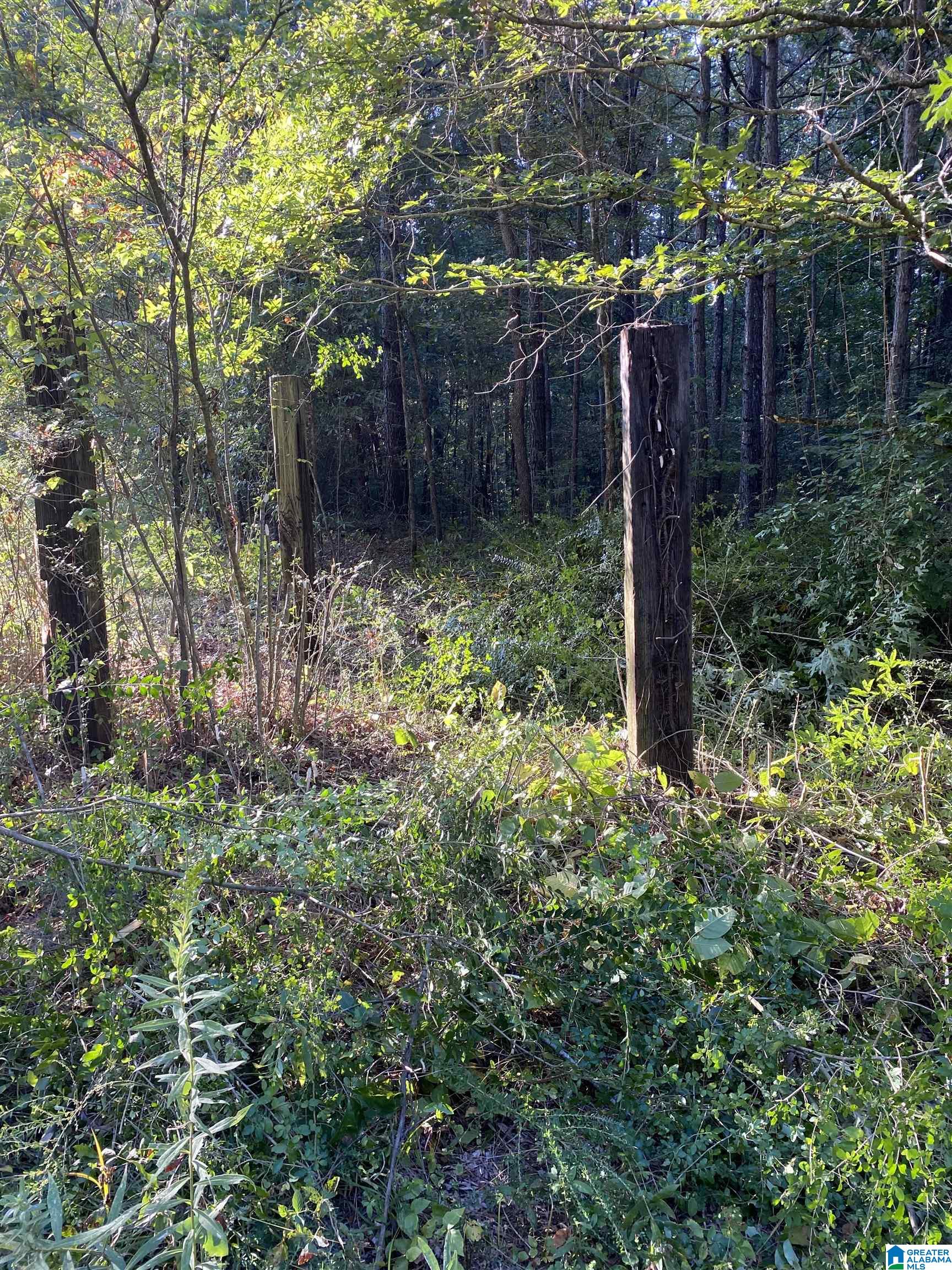 Lincoln Road, Unit 6 0 Cleveland, AL 35049 - Photo 4 of 12