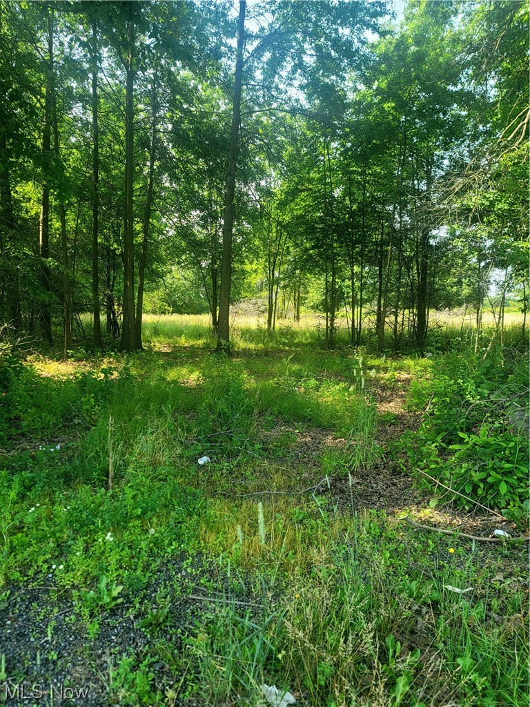 Merwin Chase Brookfield, OH 44403 - Photo 6 of 8 Gallery Image 6