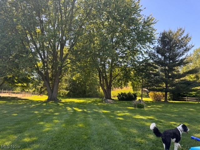 2760 Haines Road Madison, OH 44057 - Photo 5 of 33 Expansive green lawn featuring mature deciduous trees and varied evergreen plantings