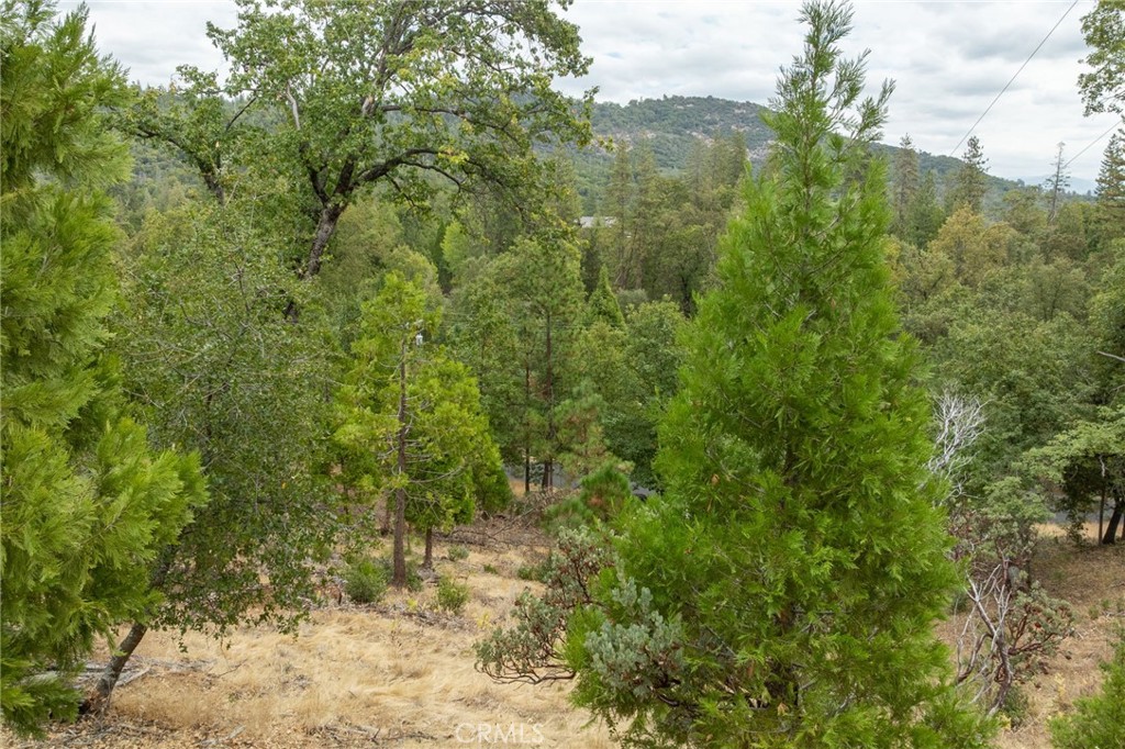 26 Timberview Road North Fork, CA 93643 - Photo 8 of 60