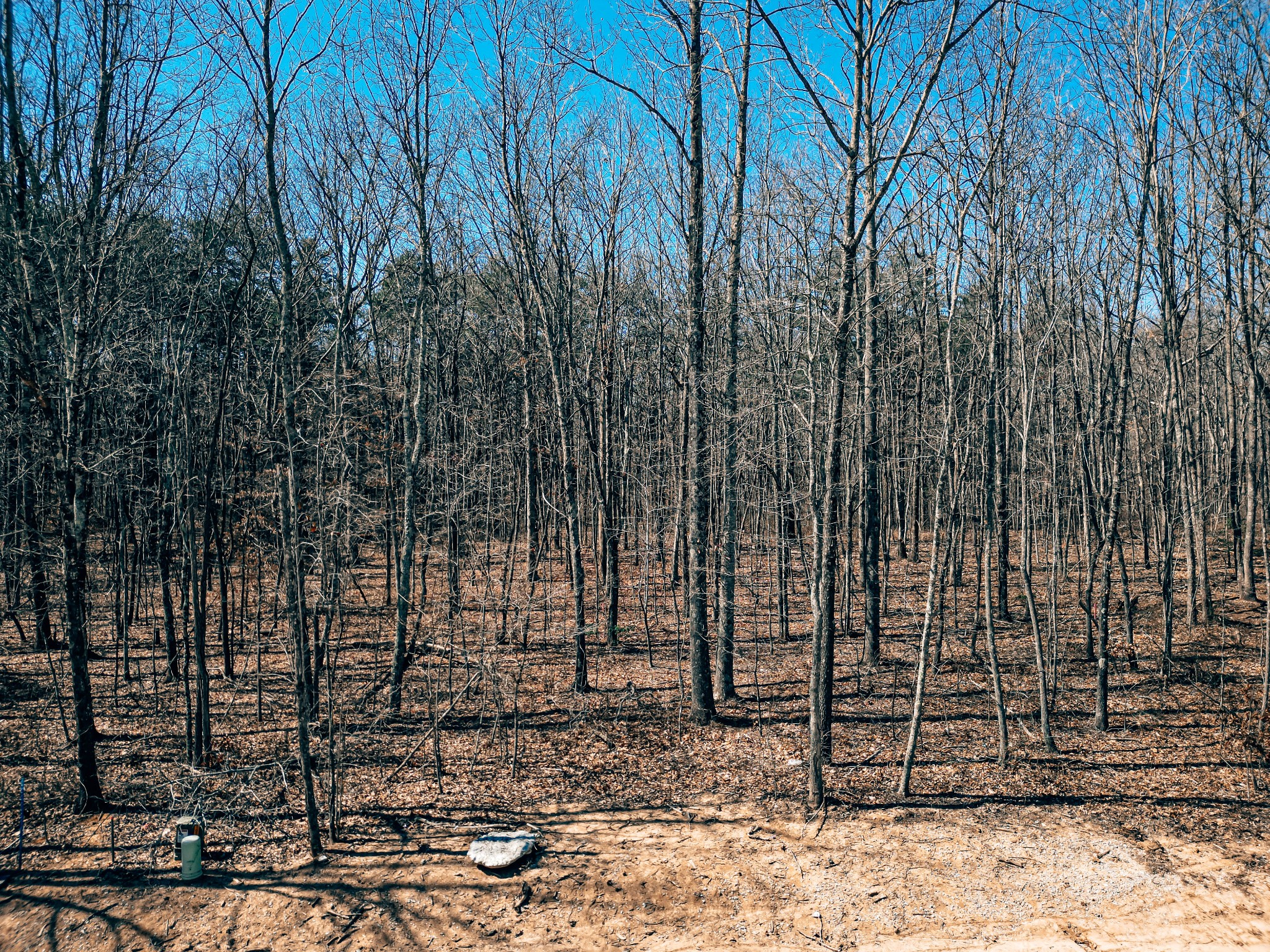 73 Twilight Point Monteagle, TN 37356 - Photo 11 of 16 a view of a backyard with floor to ceiling window