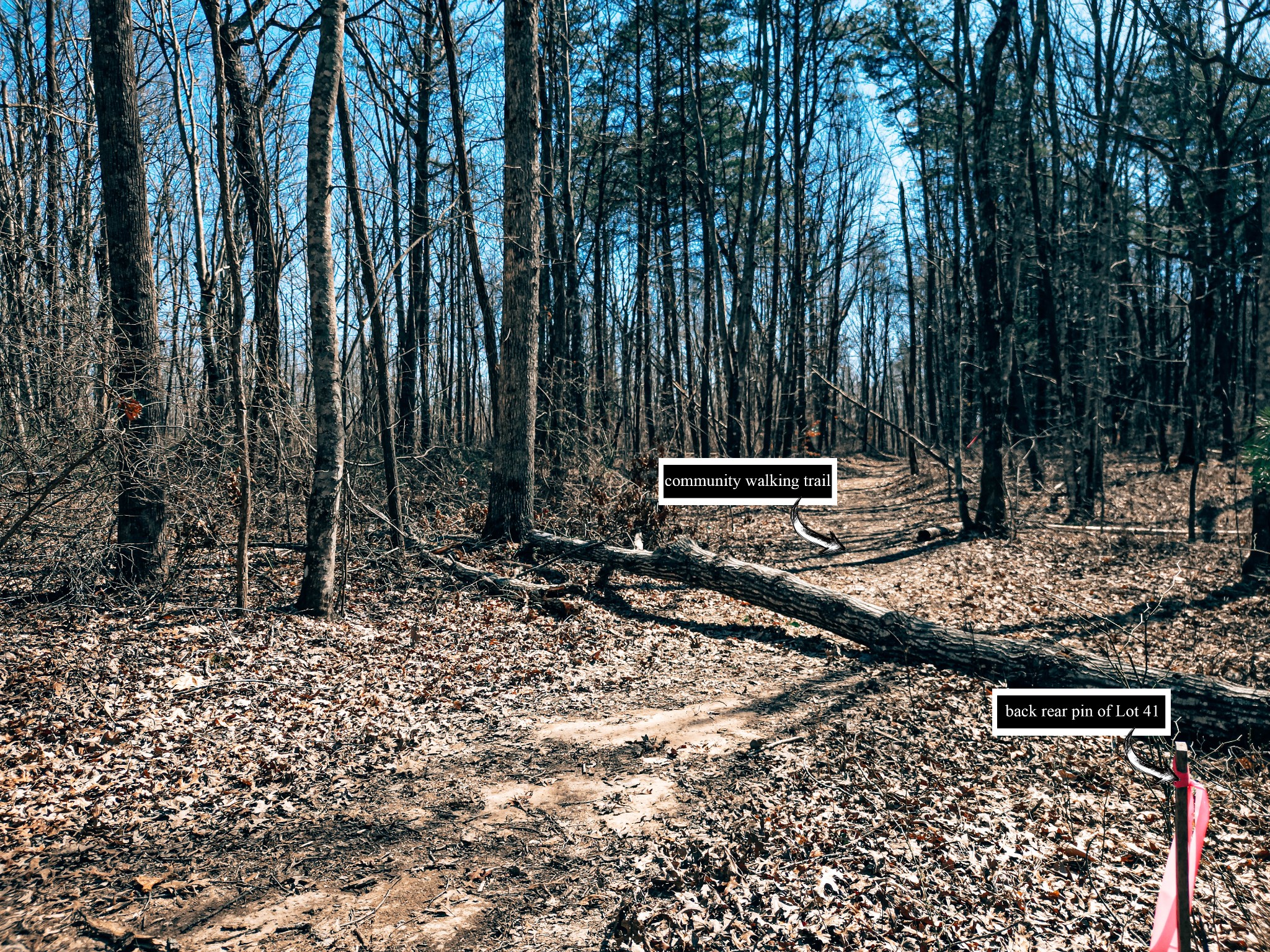 73 Twilight Point Monteagle, TN 37356 - Photo 15 of 16 a backyard of a house with barbeque oven