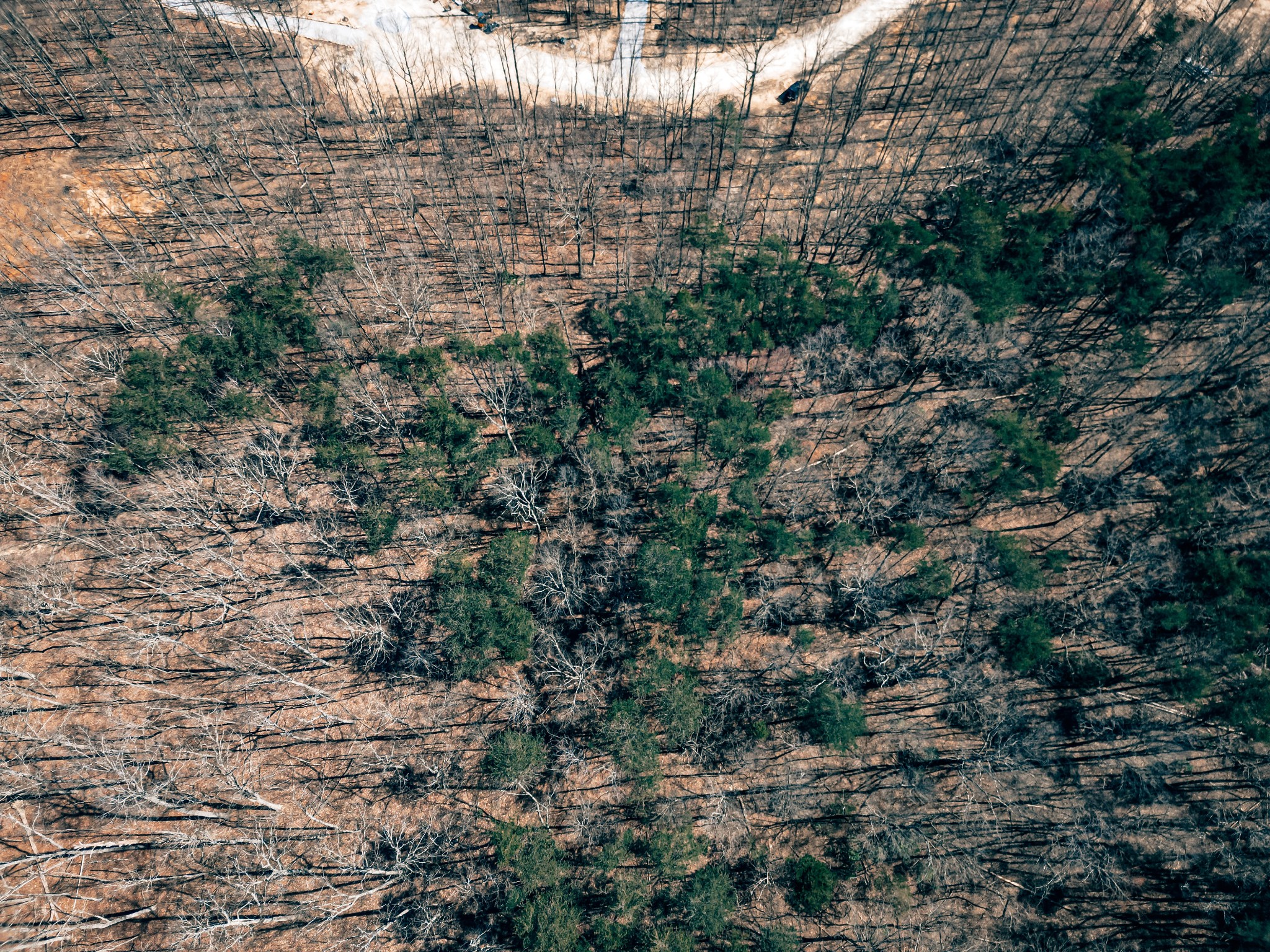 73 Twilight Point Monteagle, TN 37356 - Photo 8 of 16 a view of a house with a yard